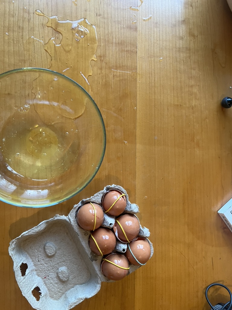 EGG Performance 4